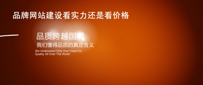 品牌網(wǎng)站建設(shè)看實力還是看價格