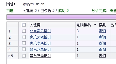 網(wǎng)站優(yōu)化成功